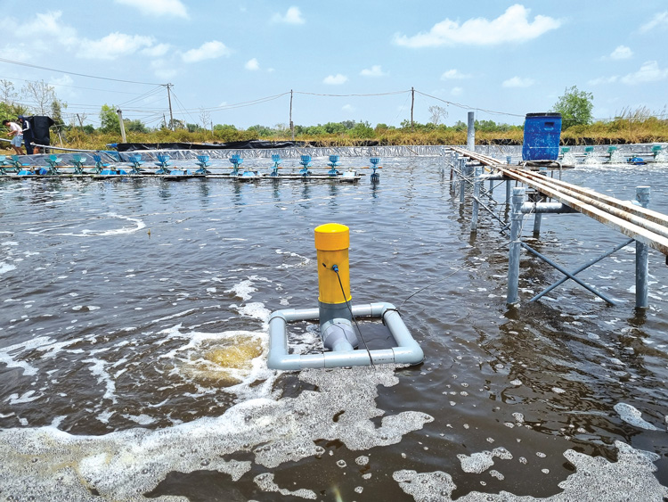 cảm biến đo oxy hòa tan