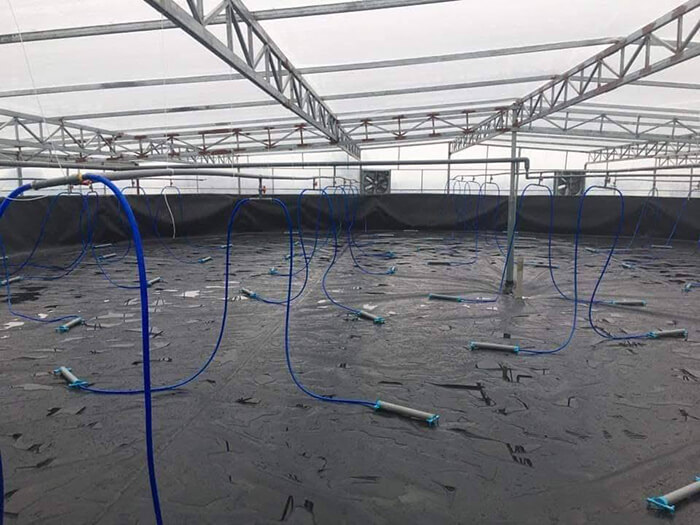 Sản phẩm có tính ứng dụng cao trong hoạt động nuôi trồng thủy sản